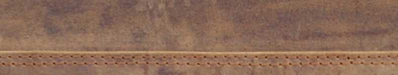 Western-Leder-790-x150