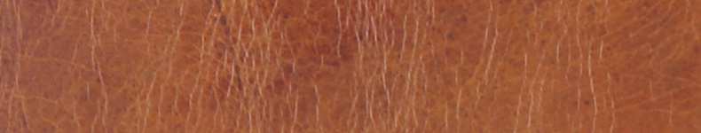 Rodeo-Leder-790-x150