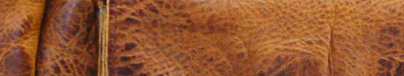 Rugged-hide-Leder-790-x150